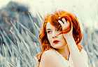 Thumbnail of 20160707-IMG_2541-lut.jpg